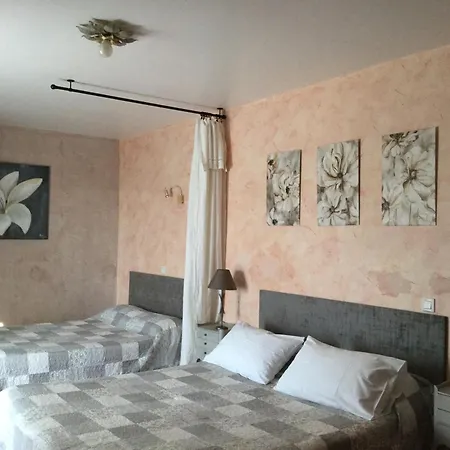 Bed & Breakfast Mas Du Sabartes D'hotes Trouillas