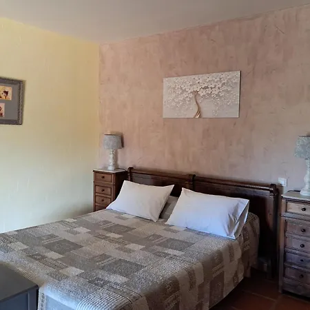 Mas Du Sabartes D'hotes Bed and breakfast Trouillas